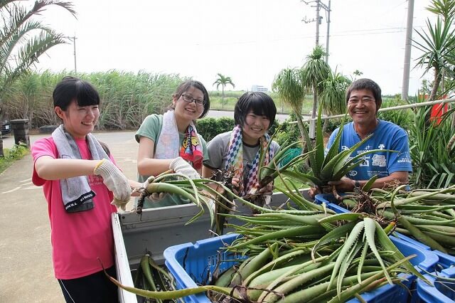 農家民泊(農泊)