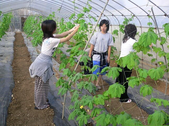 農家民泊(農泊)