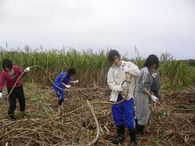 農家民泊(農泊)
