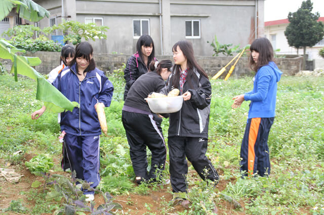 農家民泊(農泊)