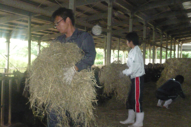 農家民泊(農泊)