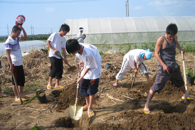 農家民泊(農泊)